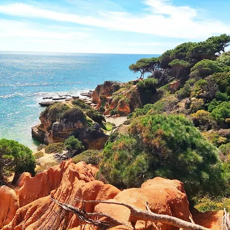 Luxury Corcovada By Becherish 아파트